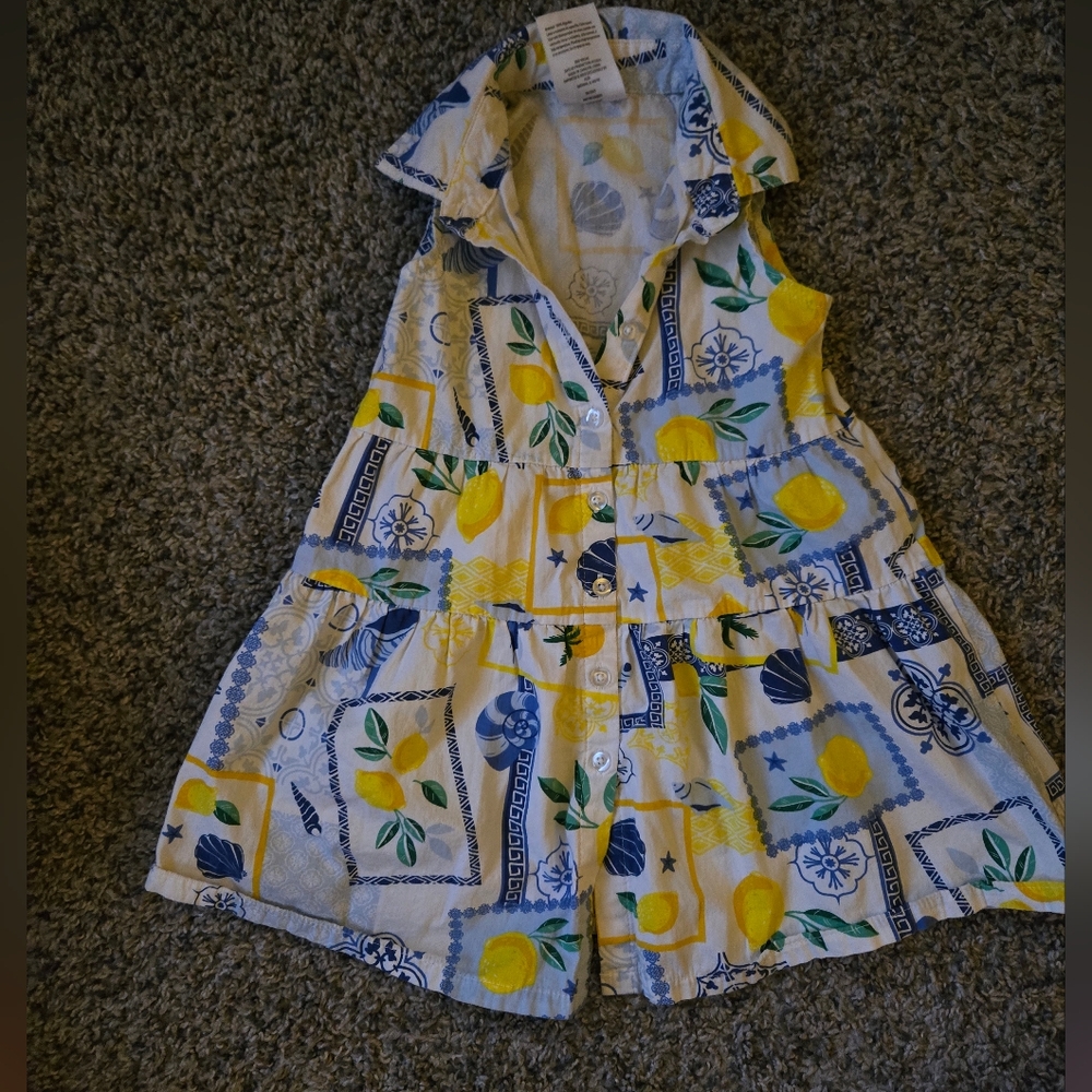 Baby Toddler Girl Clothes Bundle Size 9 Months To 2T - Picture 10 of 13